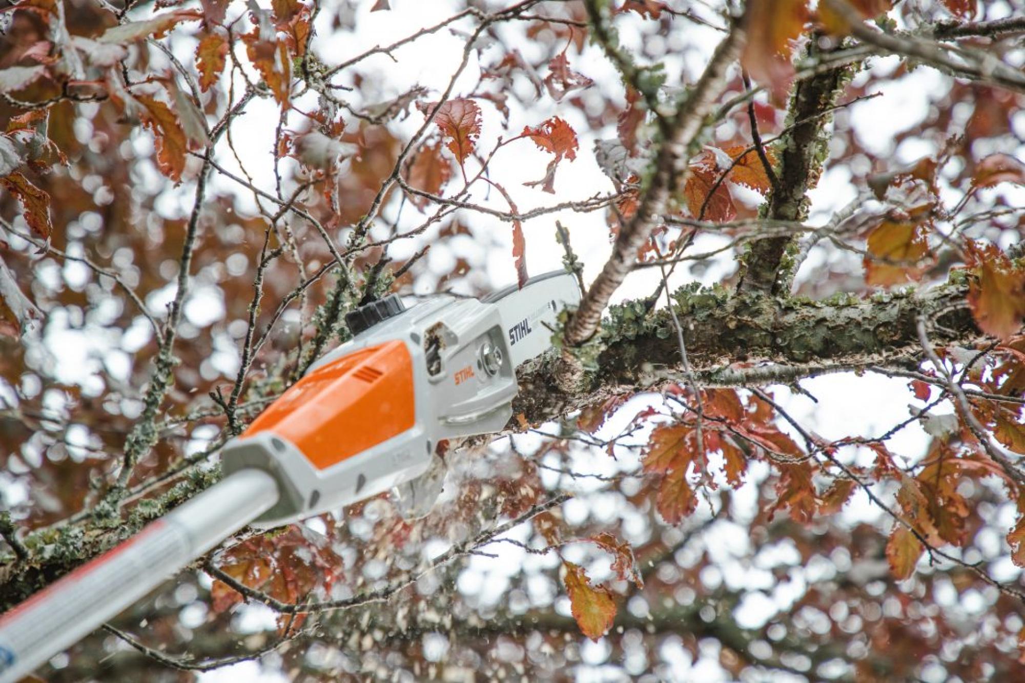 STIHL HTA 50 AK Akkumulátoros magassági ágnyeső (Akkumulátor és töltő nélkül)