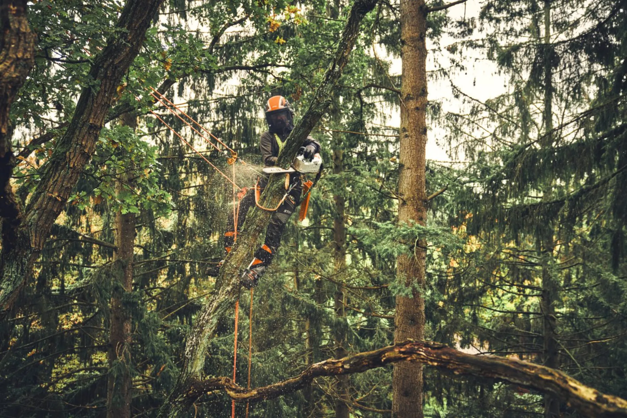 STIHL MSA 220 T-CO AP Akkumulátoros láncfűrész (Akkumulátor és töltő nélkül)